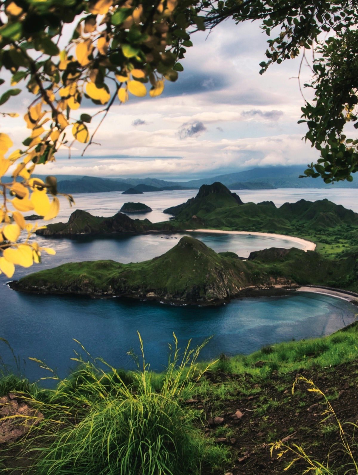 Komodo