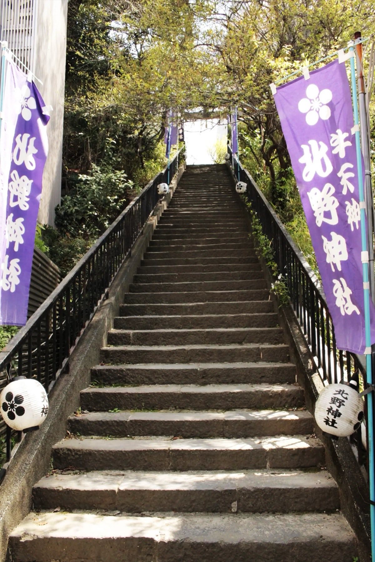 Staircase Surrounded By Plum Blossoms