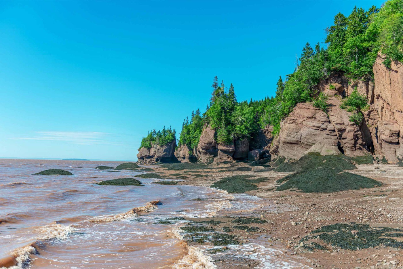 Bay Of Fundy New Brunswick