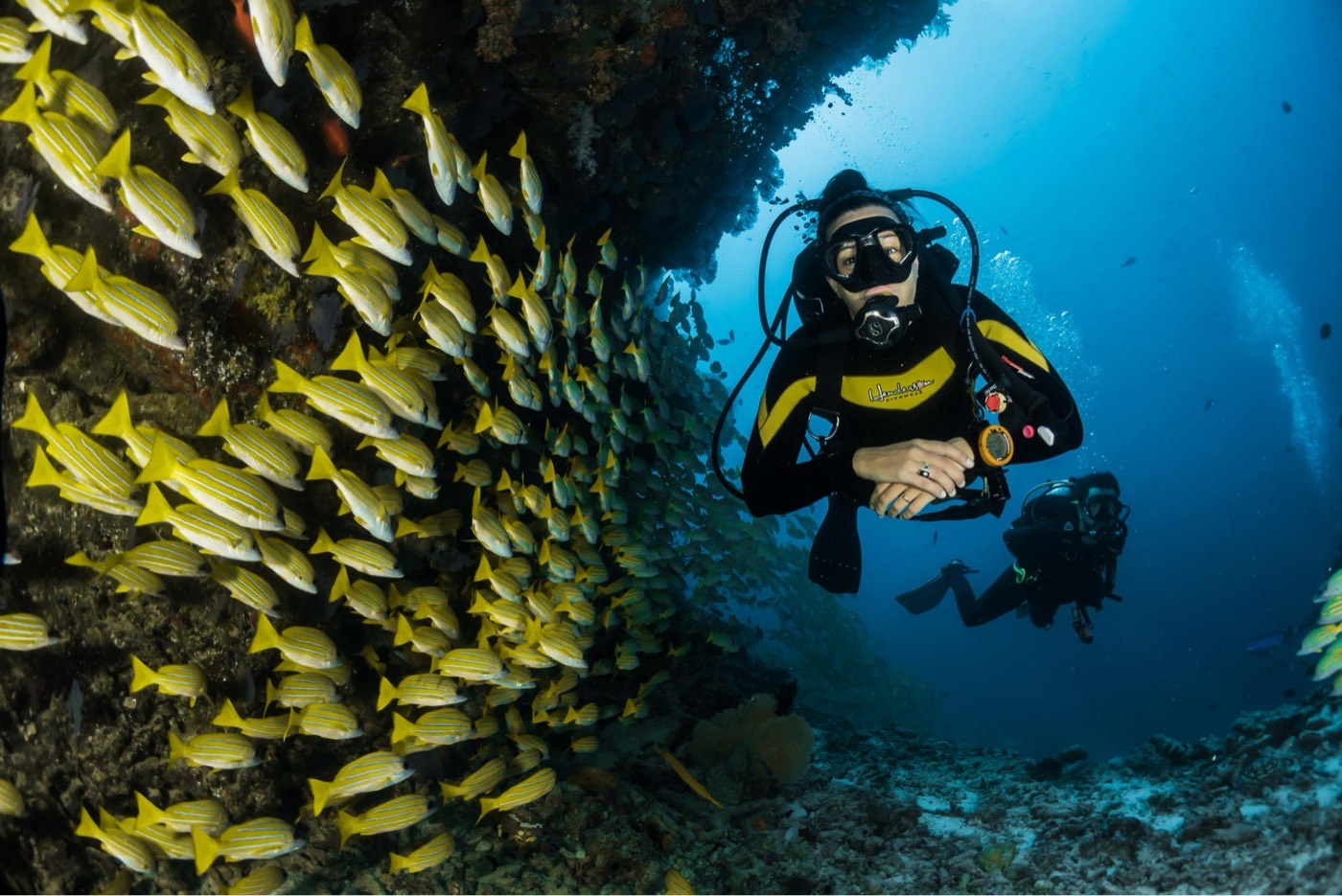 Divers Through The Reef